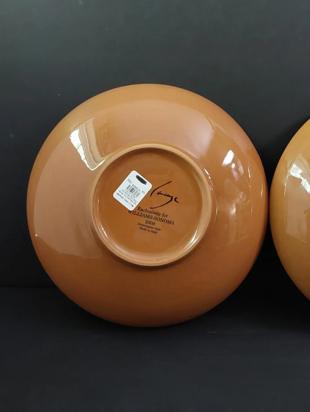 NEW Williams-Sonoma PAYSAGE SOUP/PASTA Bowls (2) 10